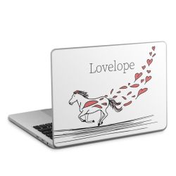 Foils for Laptops matt