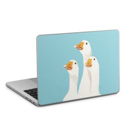 Foils for Laptops matt