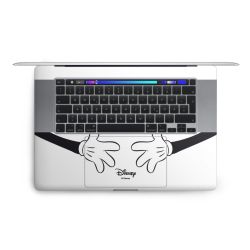 Foils for Laptops matt