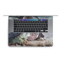 Foils for Laptops matt