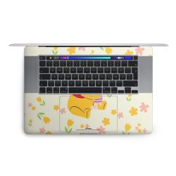 Foils for Laptops matt