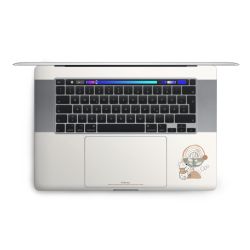 Foils for Laptops matt