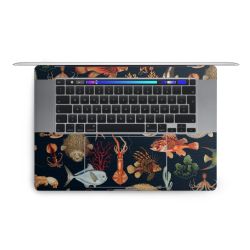 Foils for Laptops matt