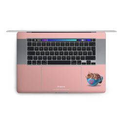 Foils for Laptops matt