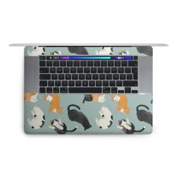 Foils for Laptops matt