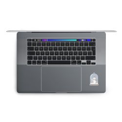 Foils for Laptops matt