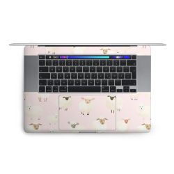 Foils for Laptops matt