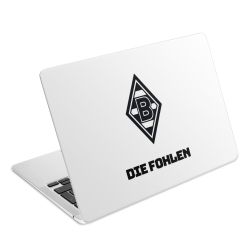 Folien für Laptops matt