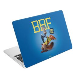 Foils for Laptops matt