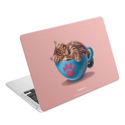 Foils for Laptops matt