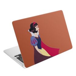 Foils for Laptops matt