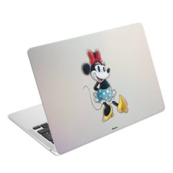 Foils for Laptops matt