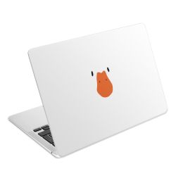 Foils for Laptops matt