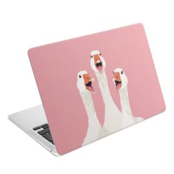 Foils for Laptops matt