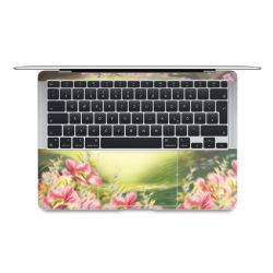 Foils for Laptops matt