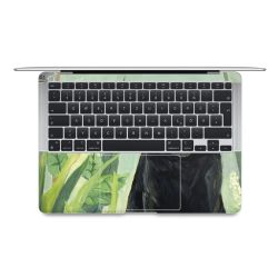 Foils for Laptops matt