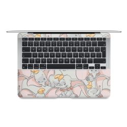 Foils for Laptops matt