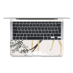 Foils for Laptops matt