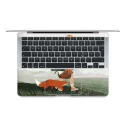 Foils for Laptops matt