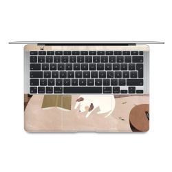 Foils for Laptops matt