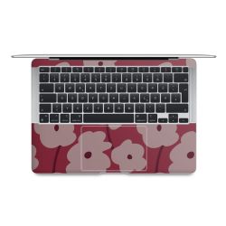 Foils for Laptops matt