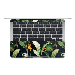 Foils for Laptops matt