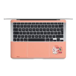 Foils for Laptops matt