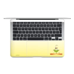 Folien für Laptops matt