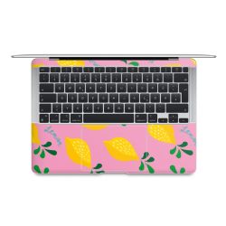 Foils for Laptops matt