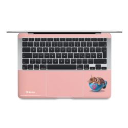 Foils for Laptops matt