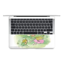 Foils for Laptops matt