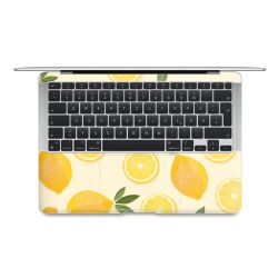 Foils for Laptops matt