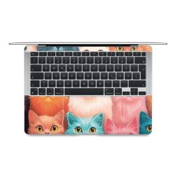 Foils for Laptops matt