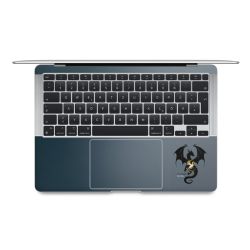 Foils for Laptops matt