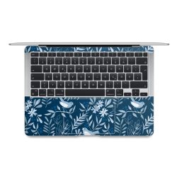 Foils for Laptops matt