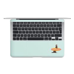 Foils for Laptops matt