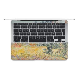 Foils for Laptops matt