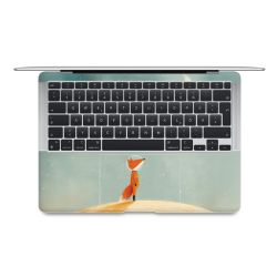 Foils for Laptops matt