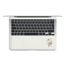 Foils for Laptops matt