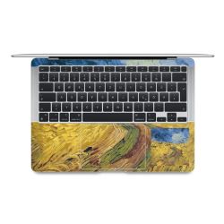 Foils for Laptops matt