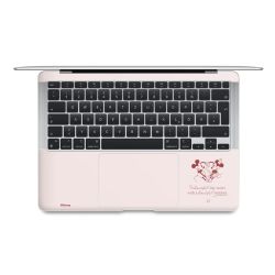 Foils for Laptops matt