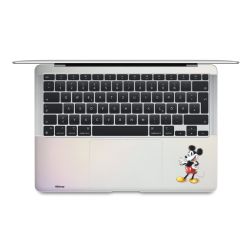 Foils for Laptops matt