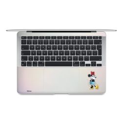 Foils for Laptops matt