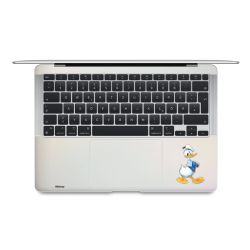 Foils for Laptops matt