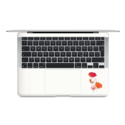 Foils for Laptops matt