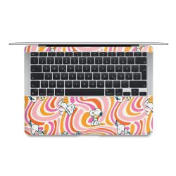 Foils for Laptops matt