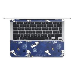 Foils for Laptops matt