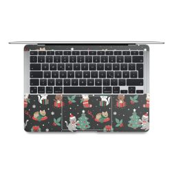 Foils for Laptops matt