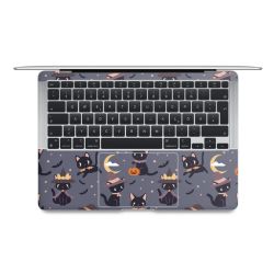 Foils for Laptops matt