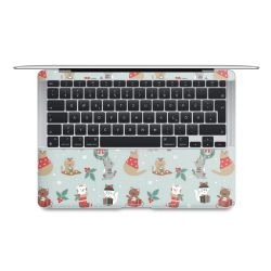 Foils for Laptops matt